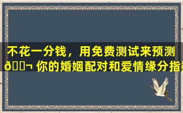 不花一分钱，用免费测试来预测 🐬 你的婚姻配对和爱情缘分指数！